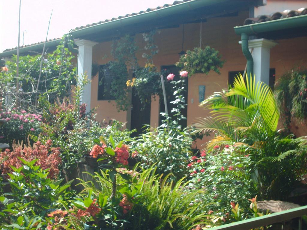 Concepción de Ataco Hotel Villa Santo Domingo מראה חיצוני תמונה